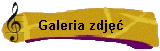 Galeria zdj