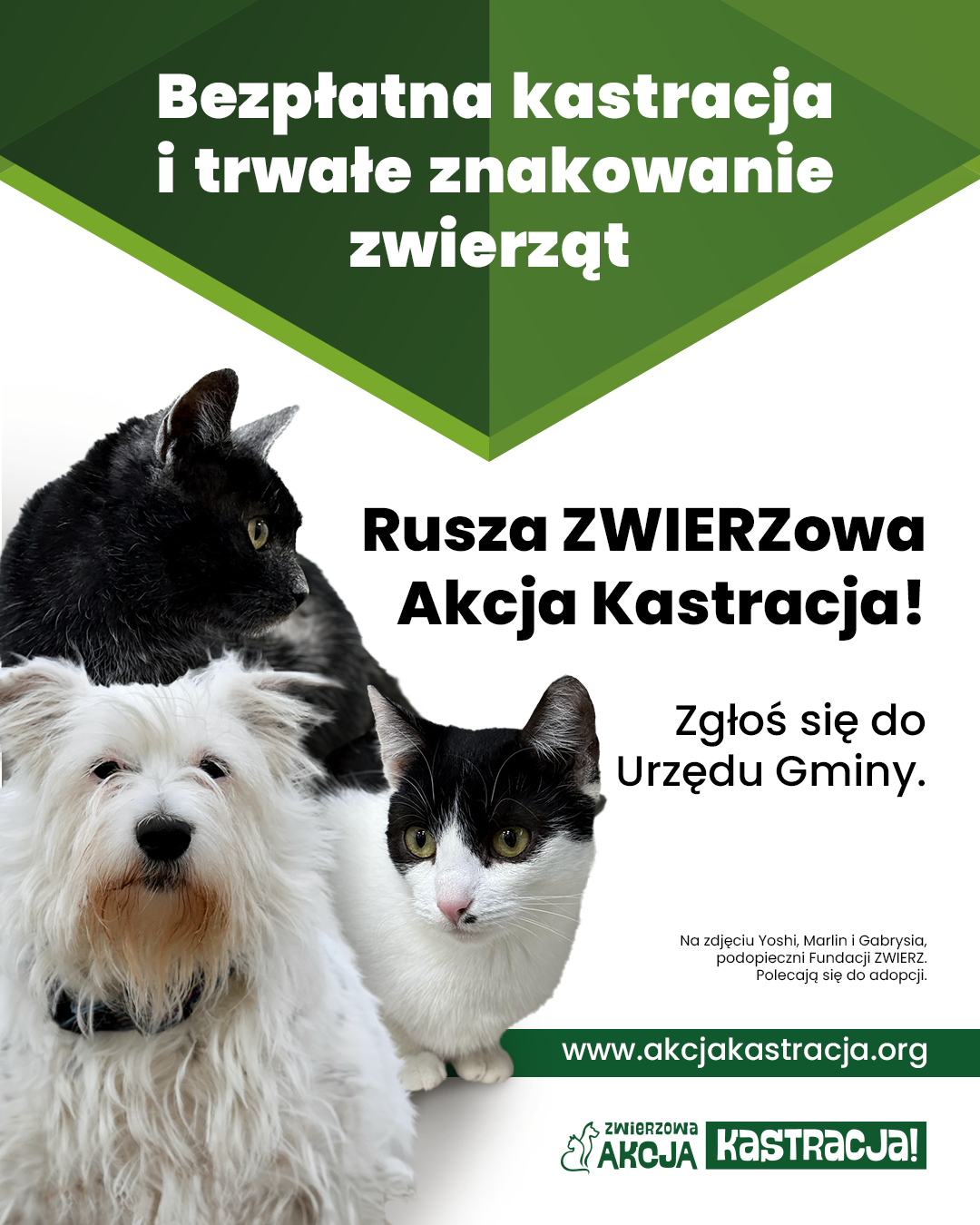 AK 2026 1080x1350 10