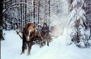 Gospodarstwo agroturystyczne "U Sienkiewiczów"