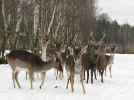 Gospodarstwo agroturystyczne "U Sienkiewiczów"